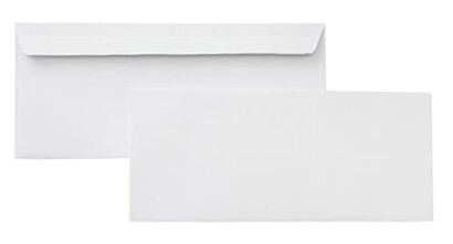 Peel & Seal Adhesive Closure 10 Security-Tinted Envelopes (500 pack)