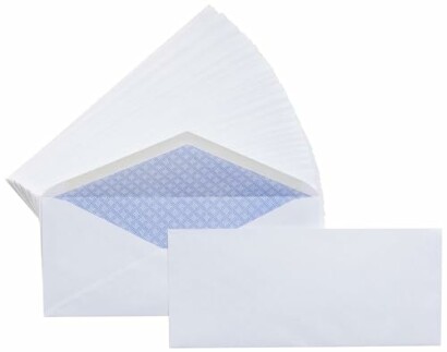 Moisture Sealed #10 Security Envelopes (500 pack)