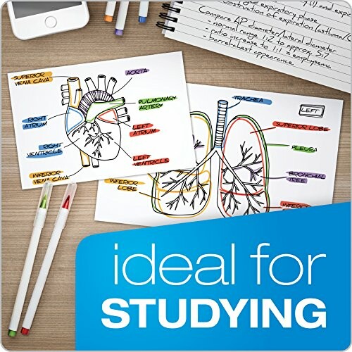 Colorful heart and lung diagrams for studying.
